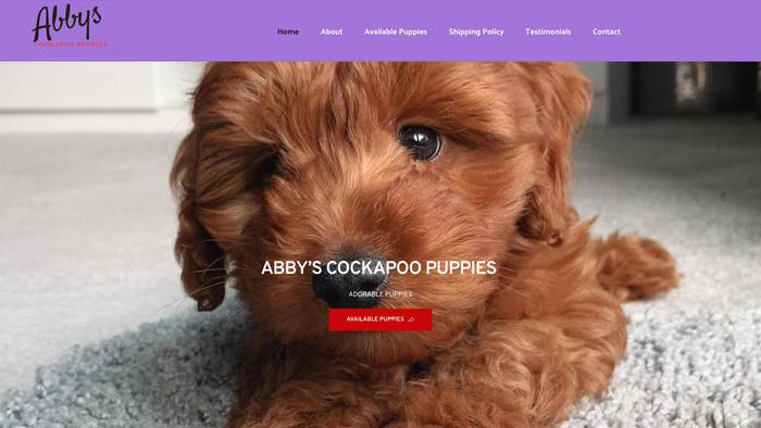 Abbyscockapoopuppies.com - Cockapoo Puppy Scam Review