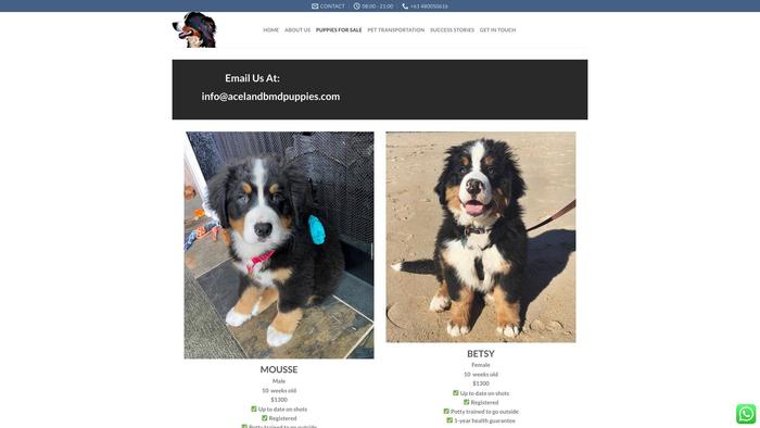 Acelandbmdpuppies.com - Bernese Mountain Dog Puppy Scam Review