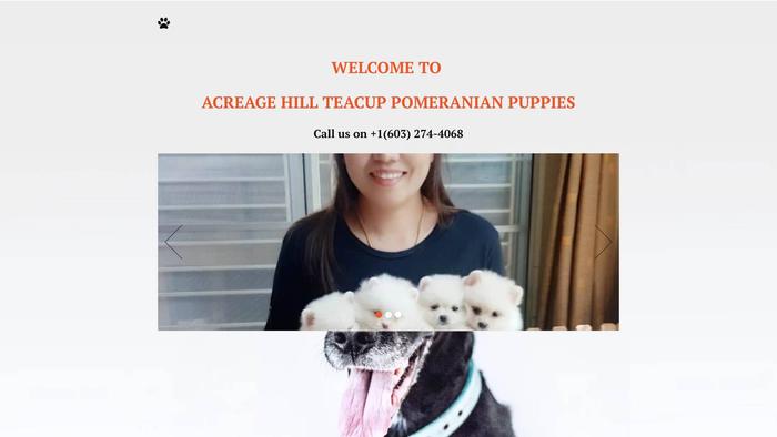 Acreagehilltcuppoms.com - Pomeranian Puppy Scam Review