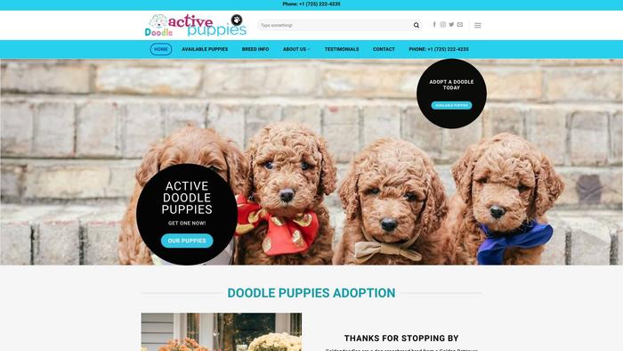 Activedoodlepuppies.com - French Bulldog Puppy Scam Review