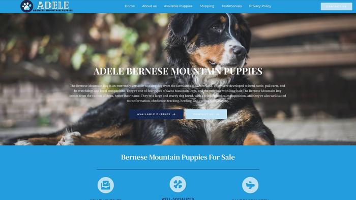 Adelebernesemountainpuppies.com - Bernese Mountain Dog Puppy Scam Review