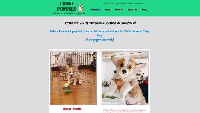 Adorablepembrokwelshcorgi.com - Corgi Puppy Scam Review