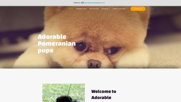 Adorableporianpups.com - Pomeranian Puppy Scam Review