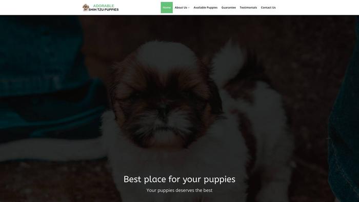 Adorableshihtzupuppies.com - Shihtzu Puppy Scam Review