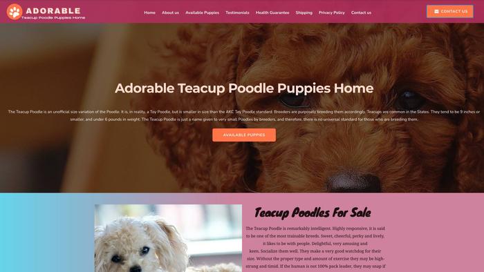 Adorableteacuppoodlepuppieshome.com - Poodle Puppy Scam Review