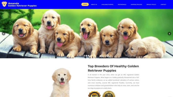 Amandagoldenretrieverpuppies.com - Golden Retriever Puppy Scam Review