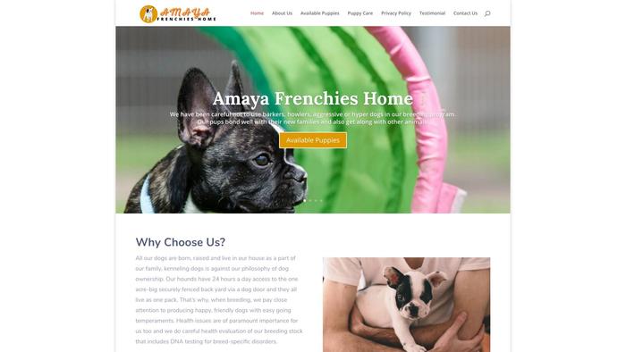 Amayafrenchies.com - French Bulldog Puppy Scam Review