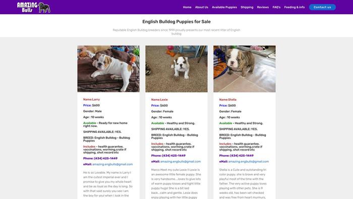 Amazingbulls.com - English Bulldog Puppy Scam Review