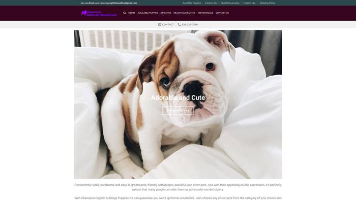 Amazingenglishbloodline.com - English Bulldog Puppy Scam Review