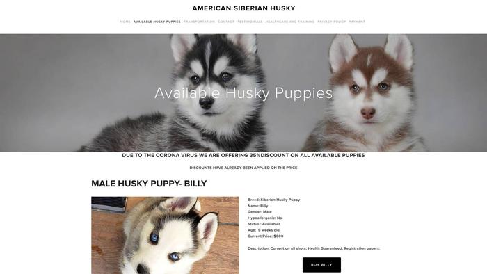 Americansiberianhusky.com - Husky Puppy Scam Review