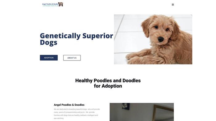 Angelpoodlesanddoodles.com - Poodle Puppy Scam Review