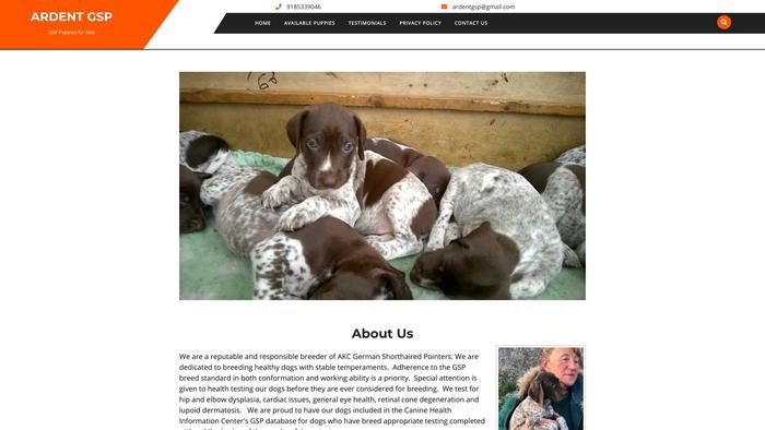 Ardentgsp.com - Labrador Puppy Scam Review