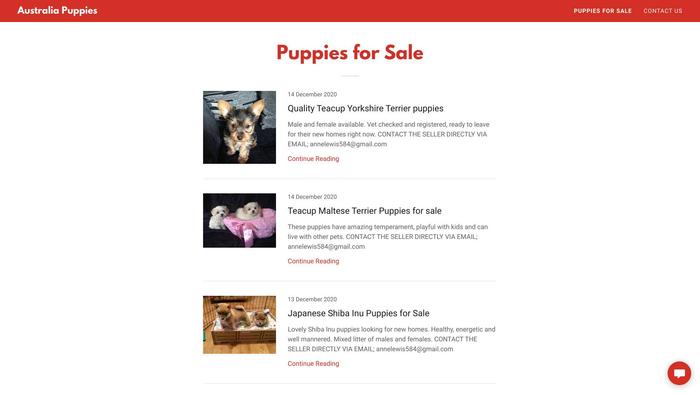 Australiapuppies.com - Yorkshire Terrier Puppy Scam Review