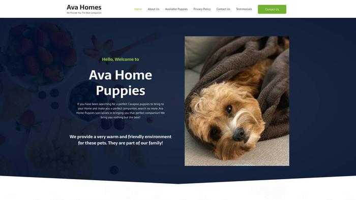 Avahomepups.com - Cavapoo Puppy Scam Review