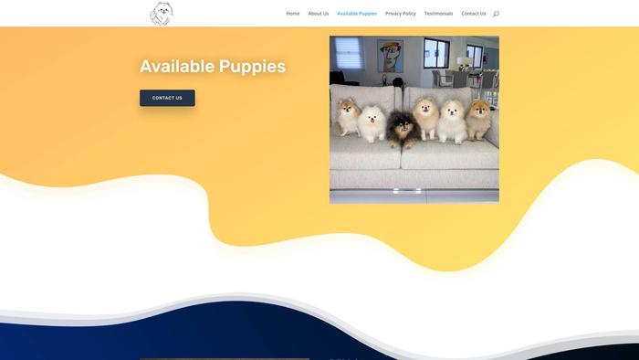 Avapomeranianhome.com - Pomeranian Puppy Scam Review