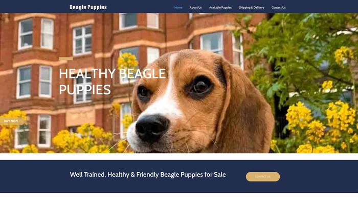 Babybeagles.com - Beagle Puppy Scam Review