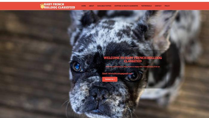 Babyfrenchbulldogclassified.com - French Bulldog Puppy Scam Review