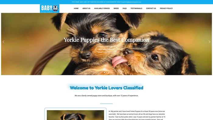 Babymicroyorkie.com - Yorkshire Terrier Puppy Scam Review