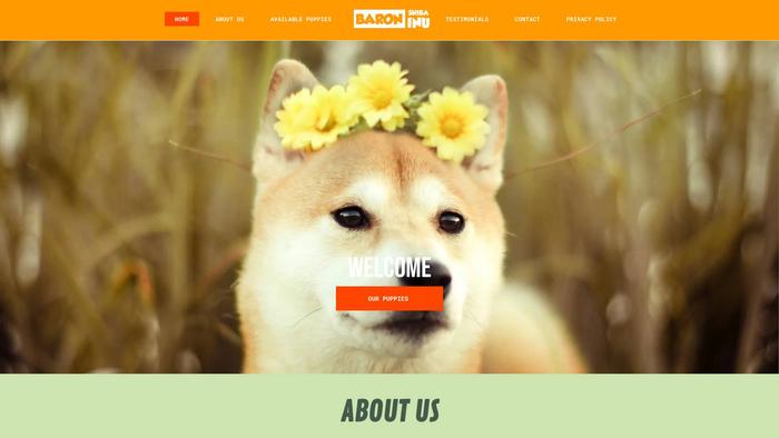 Baronshibainu.com - Shibhainu Puppy Scam Review