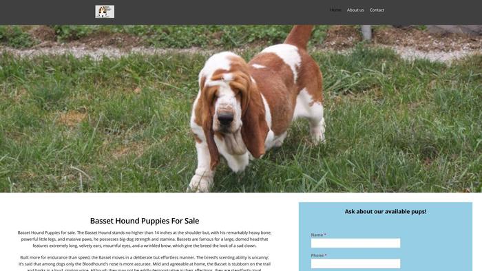 Bassethoundpuppieshome.com - Bassethound Puppy Scam Review