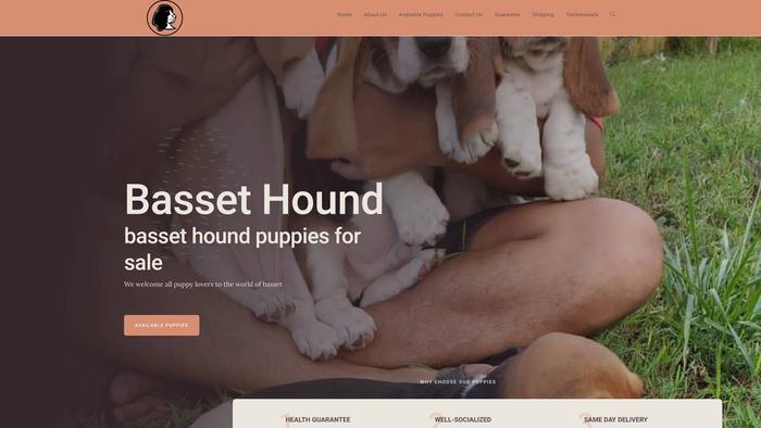 Bassetpuppies4homes.store - Bassethound Puppy Scam Review