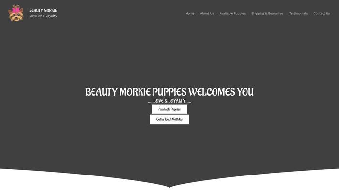 Beautymorkie.com - Yorkshire Terrier Puppy Scam Review