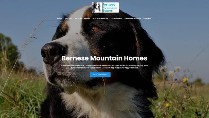 Bernesemountainhomes.com - Bernese Mountain Dog Puppy Scam Review