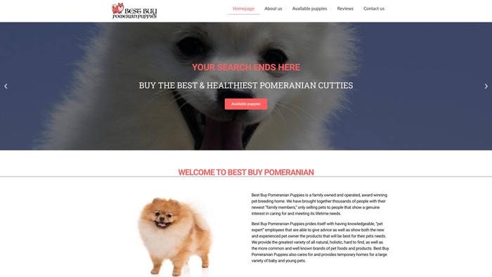 Bestbuypomeranianpuppies.com - Pomeranian Puppy Scam Review