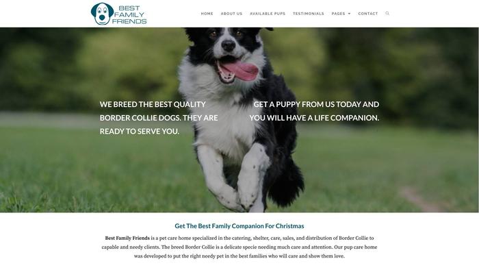 Bestfamilyfriends.com - Bordercollie Puppy Scam Review