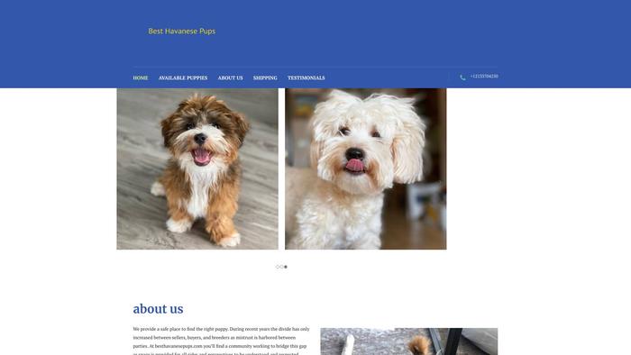 Besthavanesepups.com - Havanese Puppy Scam Review