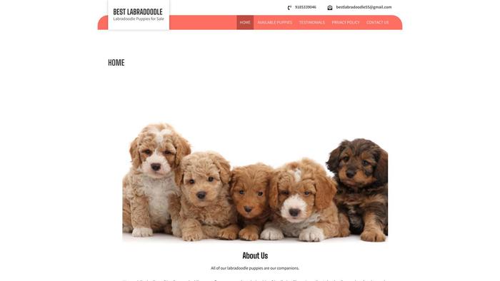 Bestlabradoodle.com - Labradoodle Puppy Scam Review