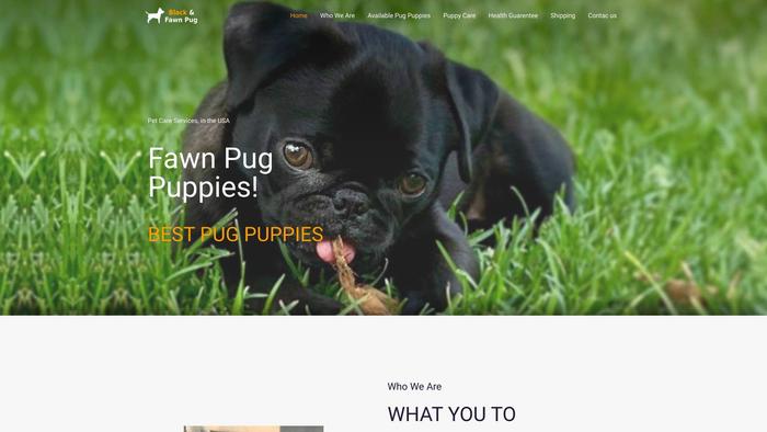 Blackandfawnpug.com - Pug Puppy Scam Review