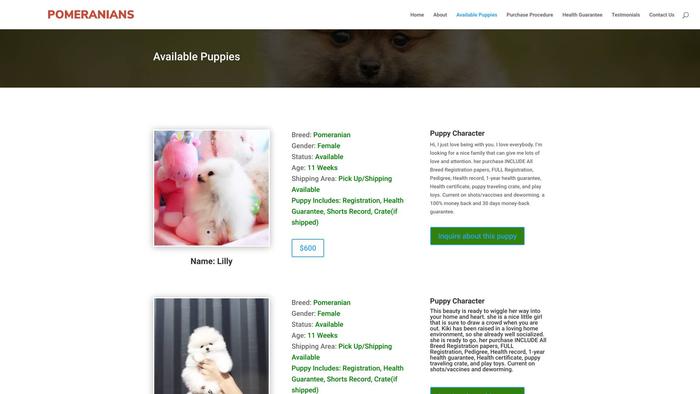 Blinkpomeranians.com - Pomeranian Puppy Scam Review