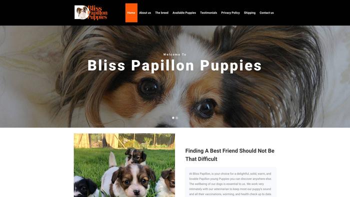 Blisspupshome.com - Papillon Puppy Scam Review