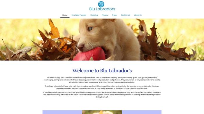 Blulabradors.com - Labrador Puppy Scam Review