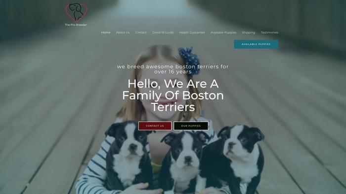 Bostonterrierpupslovers.com - Terrier Puppy Scam Review