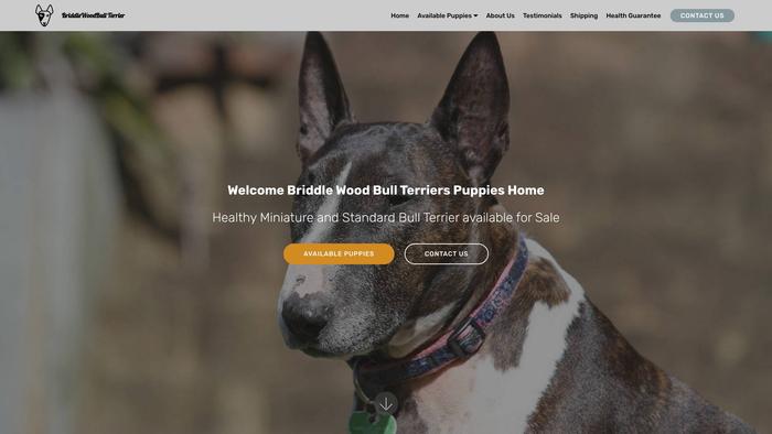 Briddlewoodbullterriers.com - Terrier Puppy Scam Review