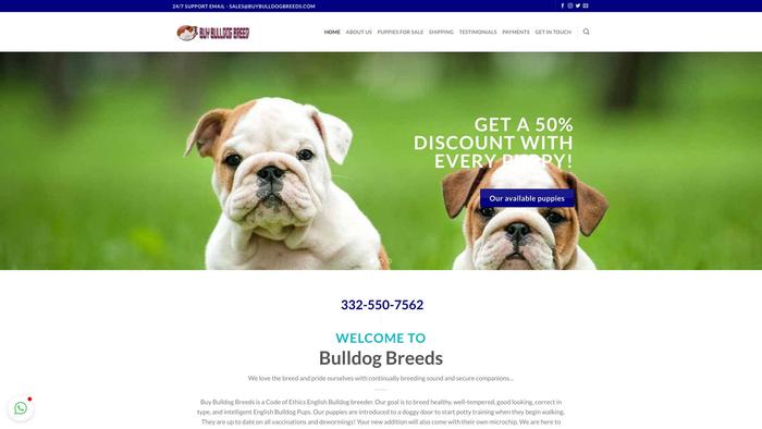 Buybulldogbreeds.com - English Bulldog Puppy Scam Review