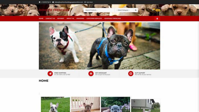 Buyfrenchbulldogpuppiesonline.com - French Bulldog Puppy Scam Review