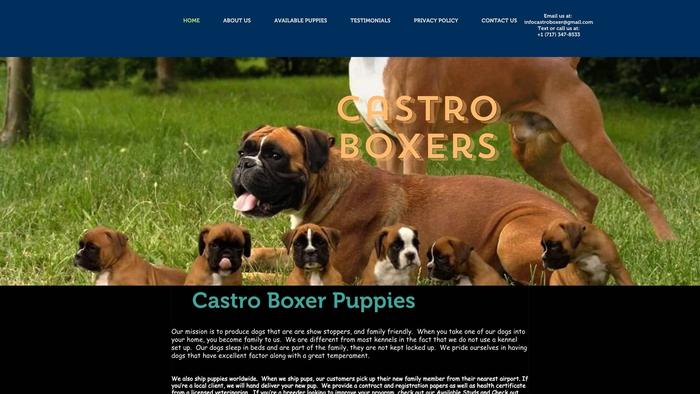 Castroboxer.com - Boxer Puppy Scam Review