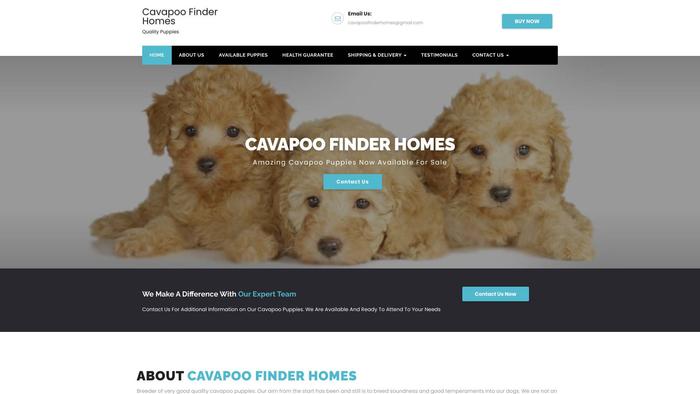 Cavapoofinderhomes.com - Cavapoo Puppy Scam Review