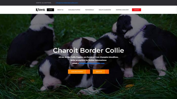 Charoitbordercollie.com - Bordercollie Puppy Scam Review