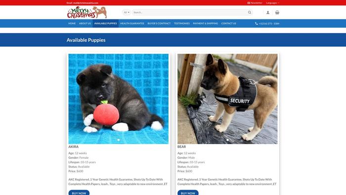 Christmasakita.com - Akita Puppy Scam Review