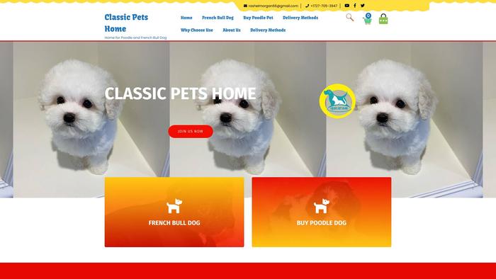 Classicpetshome.com - French Bulldog Puppy Scam Review