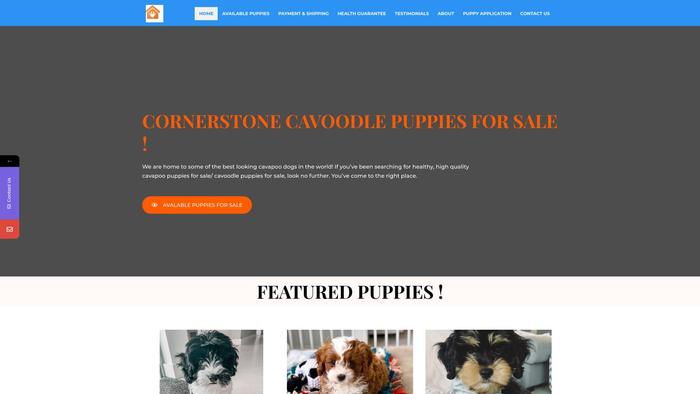 Cornerstonecavoodles.com - Cavapoo Puppy Scam Review