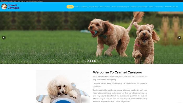 Cramelcavapoo.com - Cavapoo Puppy Scam Review