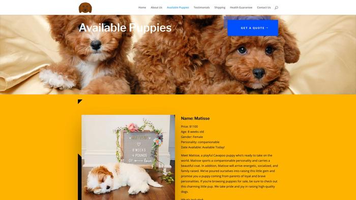 Cutecavapoopuppieshome.com - Cavapoo Puppy Scam Review