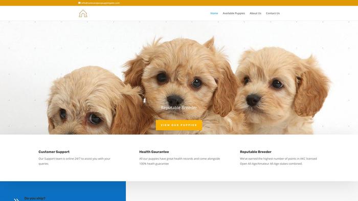 Cutecavapoopuppiespets.com - Cavapoo Puppy Scam Review