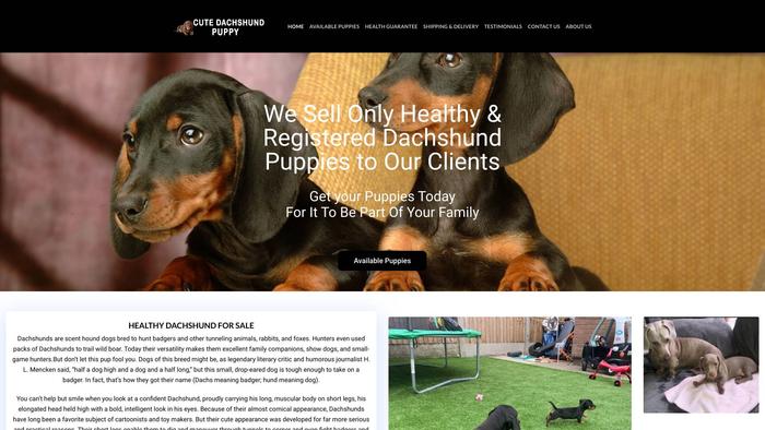 Cutedachshundpuppy.com - Dachshund Puppy Scam Review