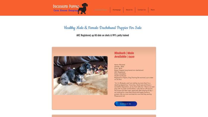 Cutehousekeeping.com - Dachshund Puppy Scam Review